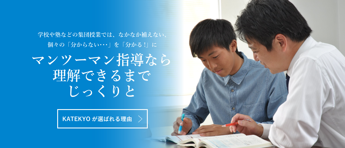 学校や塾などの集団授業では、なかなか補えない、個別の「分からない」を「分かる！」に。マンツーマン指導なら、理解できるまでじっくりと。
