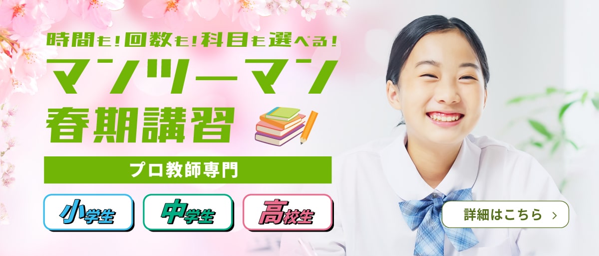 マンツーマン春期講習