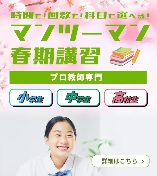マンツーマン春期講習