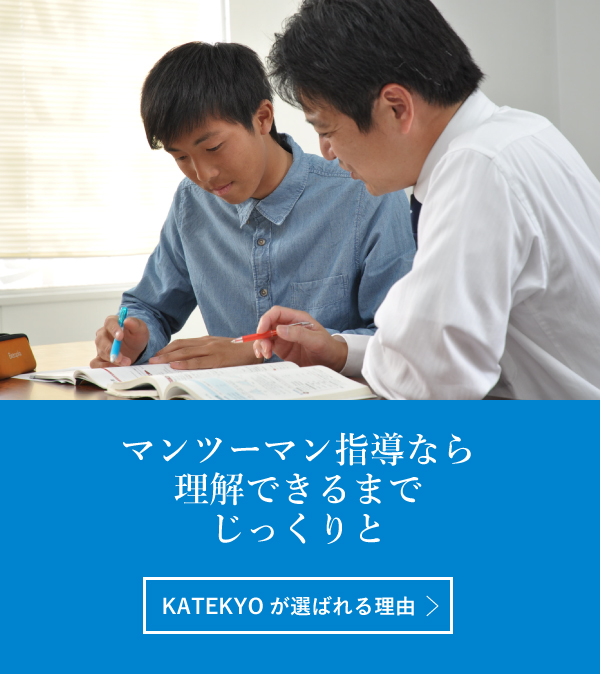 学校や塾などの集団授業では、なかなか補えない、個別の「分からない」を「分かる！」に。マンツーマン指導なら、理解できるまでじっくりと。